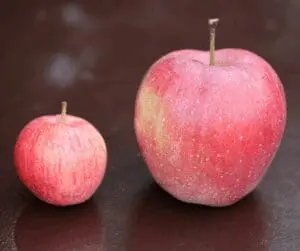 two apples side by side