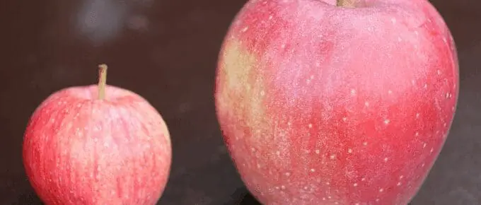 two apples side by side