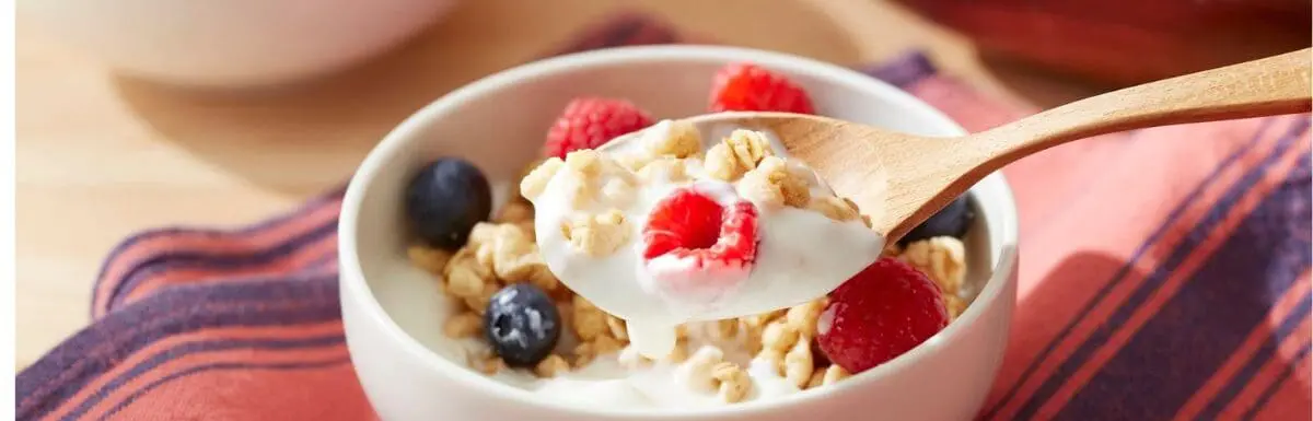 Bowl of yogurt with fruit mixed in