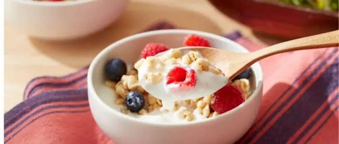 Bowl of yogurt with fruit mixed in