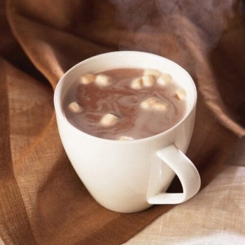 healthwise high protein marshmallow hot chocolate