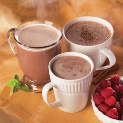 healthwise variety pack high protein hot chocolate