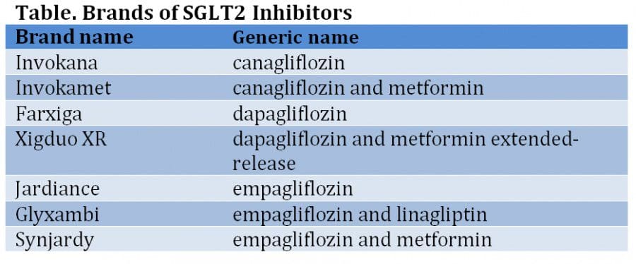 SGLT2 Inhibitors
