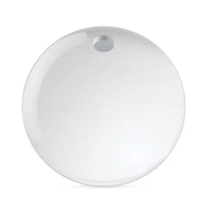 gastric balloon