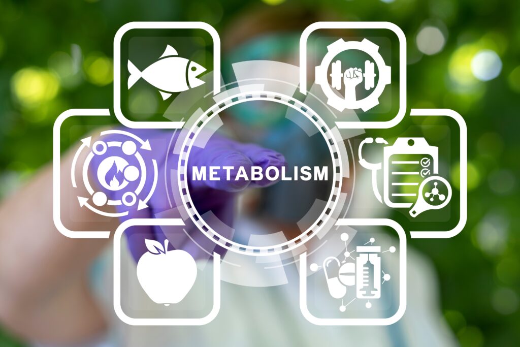 Understanding Your Metabolism After Bariatric Surgery
