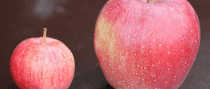 two apples side by side