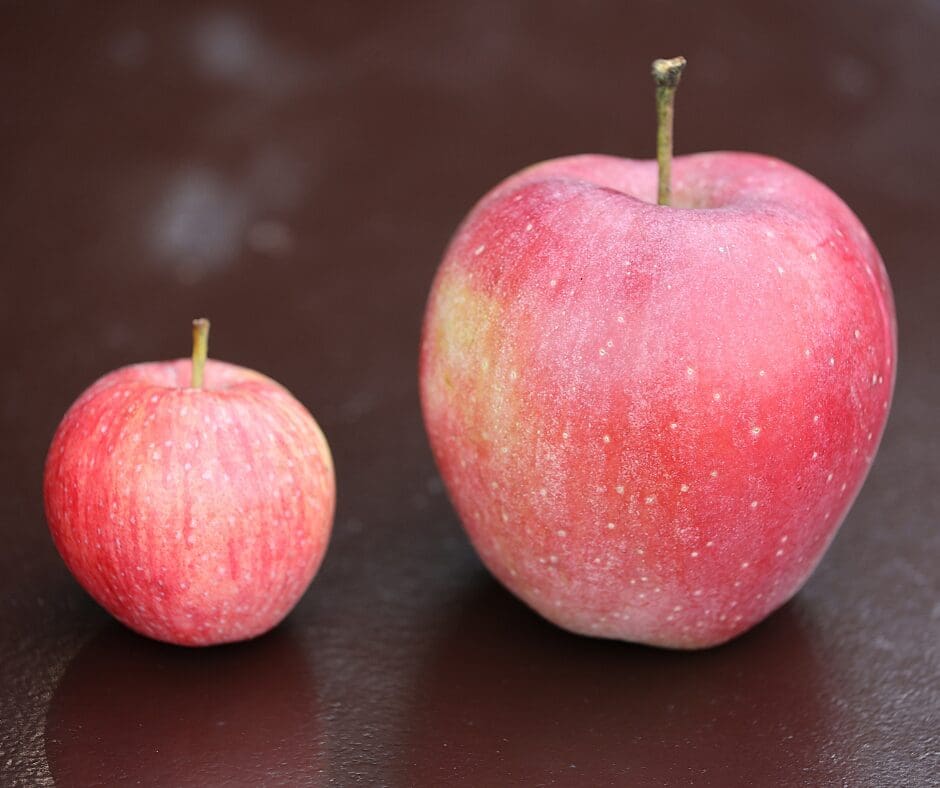 two apples side by side