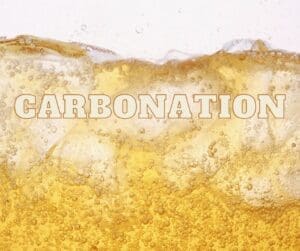 liquid full of ice and bubbles with script that reads carbonation