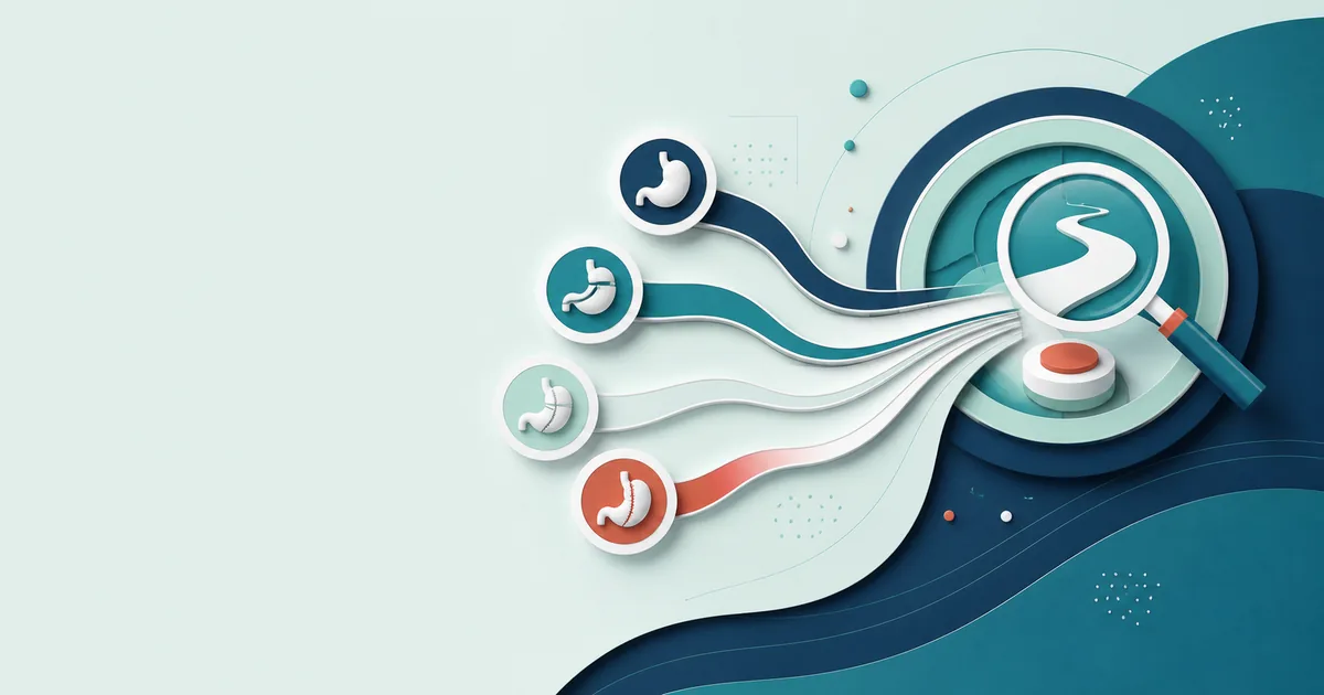 Illustration of several bariatric treatment pathways being evaluated for an individualized next step